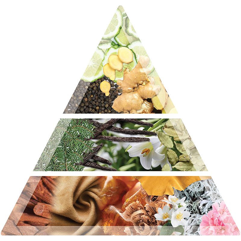 Balmain Hairperfume Ginger 100 ML